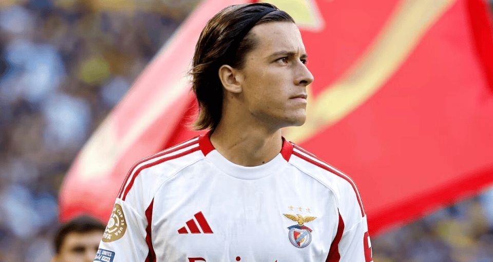 爱游戏体育入口 -战神粟裕读后所想